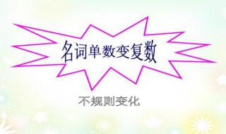 名词变复数规则（名词变复数规则变化和不规则变化）