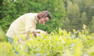 怎样用放松的方法消除焦虑 怎样用放松的方法消除焦虑情绪