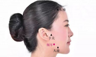 颊车的功效作用是什么 颊车的功效作用介绍