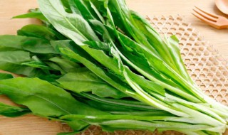 根达菜的营养价值（根达菜的营养价值及功效）