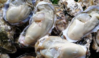 牡蛎的功效与作用及做法 牡蛎的功效与作用及用法