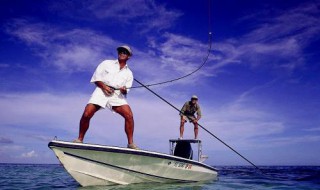 40厘米浅水怎么钓鱼 40厘米浅水怎么钓鱼视频
