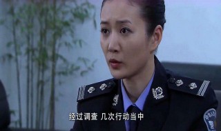 督察队长住宾馆报警是哪一集 警中警督察队长住宾馆报警是第几集