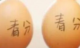 鸡蛋站立的原因 鸡蛋站立的原理是什么