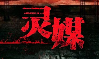 小说灵媒讲的是什么（灵媒有关的小说）