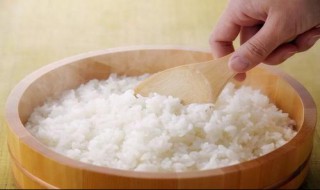 白粥和米饭哪个热量高 白粥和米饭哪个热量高一点