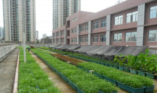 天台菜园怎么做 需要做防水工作吗