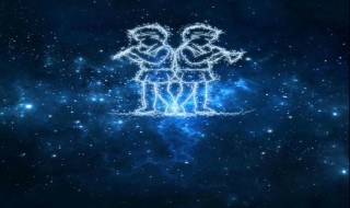 双子代表的花是什么（双子对应的是什么花）