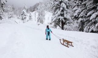 新车用扫把扫了积雪（用扫把给车扫了雪怎么办）