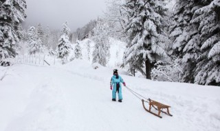 为什么有的车雪地不打滑（汽车雪地打滑）