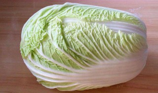 白菜的营养价值及功效与作用（白菜的营养价值及功效与作用和生长环境）
