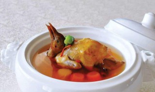 鸽子汤的功效与作用及营养价值 鸽子汤的营养和功效与作用