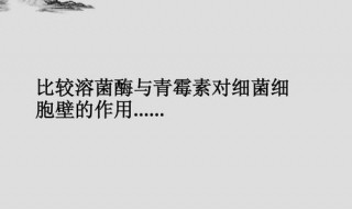 青霉素溶菌酶主要作用于什么菌 青霉素和溶菌酶对什么菌有明显的杀菌作用