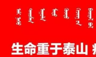 支付宝的湖北健康码有什么用（支付宝的湖北健康码有什么用途）