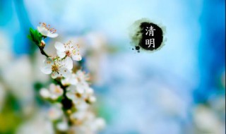 清明节是农历几月几日 2023年清明节是农历几月几日