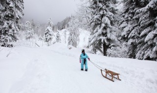 为什么很多人不清理车上雪（车上雪怎么能尽快清扫干净）