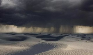 沙漠雨效应是什么意思（什么叫沙漠雨效应）