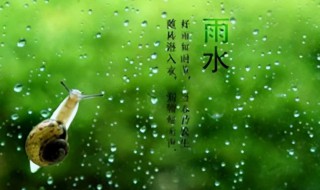 雨水养生保健有什么方法（雨水养生小知识）