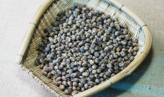 豆豉是什么东西 豆豉是什么东西(图片