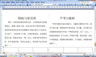 word文档一行没满就换到下一行 word文档不满一行就换行了怎么办