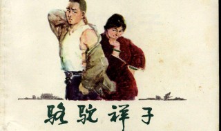 骆驼祥子好书推荐理由 骆驼祥子好书推荐理由150字