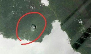挡风玻璃小坑会变大吗 挡风玻璃小坑会扩大吗