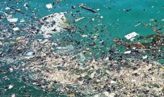 海洋污染最严重的海域（海洋污染中最严重的污染是）