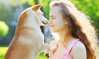 训练爱犬的方法（训练爱犬的方法 篮球犬）