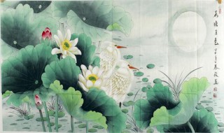 荷塘月色四五六段赏析（荷塘月色四五六段原文朗读）