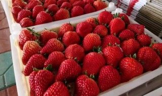 草莓怎么吃最健康 草莓怎么吃最健康图片