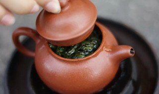 永春茶属于什么茶 永春茶属于什么茶种