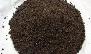 黑粒粒有机肥怎么使用（黑颗粒肥料怎么用）