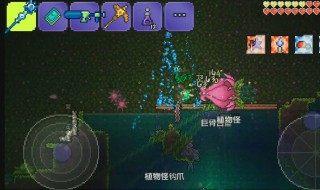 泰拉瑞亚1.3国际版秒表怎么获得 泰拉瑞亚1.4手机版秒表