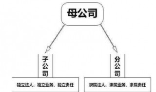 总公司与分公司的关系是什么 总公司与分公司属于什么关系