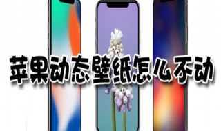 苹果手机为什么无法设置动态壁纸 iphone为什么设置不了动态壁纸