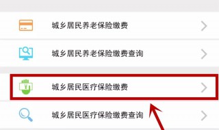 手机怎么交医保（手机怎么交医保卡怎么缴费）