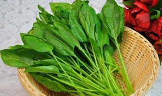 怎么烫菠菜吃（如何烫菠菜不发黄）