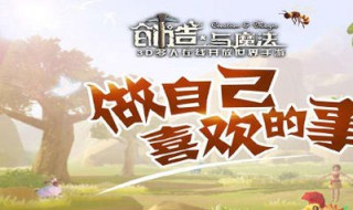 创造与魔法鲤鱼都可以做什么（创造与魔法的鲤鱼可以做成什么）