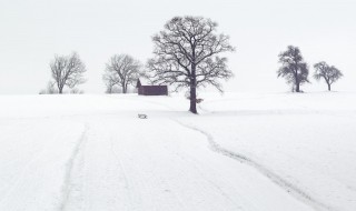 赞美雪的优美句子 赞美雪的优美句子短句