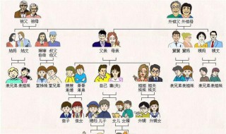 直系家属是指哪些啊 直系家人包括哪些