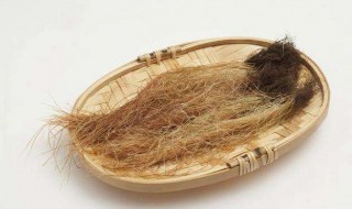 玉米须水和玉米水功效是一样的吗 玉米与玉米须水的功效