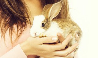 小兔子不喜欢吃什么食物 小兔子不喜欢吃什么东西