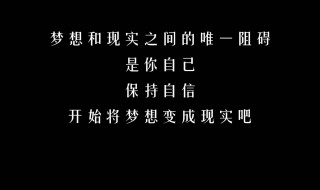 梦想与现实哪个更重要 梦想与现实哪个更重要 新国辩