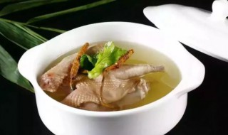 鸽子汤不能和什么一起吃 鸽子煲汤用什么材料比较有营养