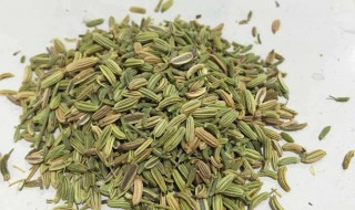 小茴香的作用与功效 小茴香的作用与功效图片