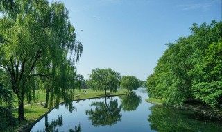 初夏是几月（初夏是几月份生日）