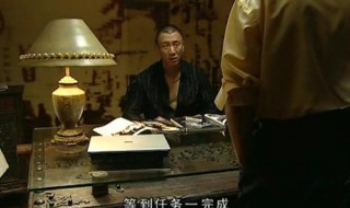 根据小说改编的谍战电视剧有哪些（根据小说改编的谍战电视剧有哪些）