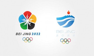 2022北京冬奥会志愿者标志（2022北京冬奥会志愿者标志是什么）