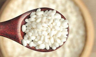 糯米的作用和营养 糯米的作用和营养价值