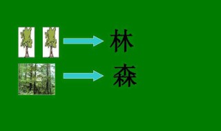 木字旁的字大全（木字旁的字大全500个）